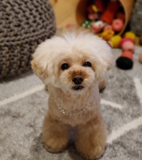 �P�����