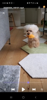�P�����