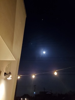 ����