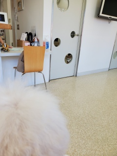 łI