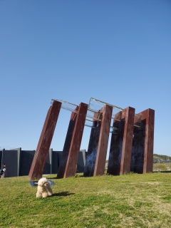 ROK