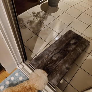 ���ށ[���B