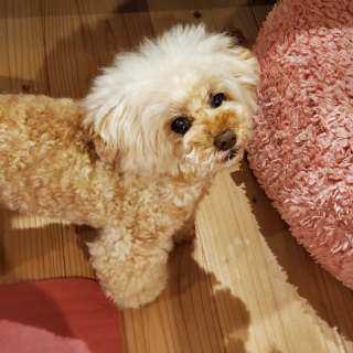 �����[�[�[�[�I
