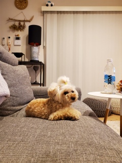 �������I����