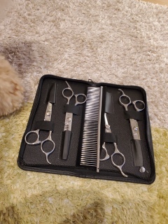 ��g���~���O