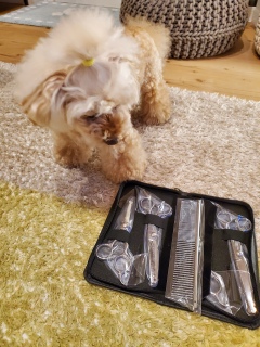 �n�T�~���͂�����