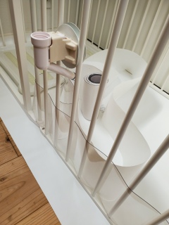 ���Ƃ�����A�x�x