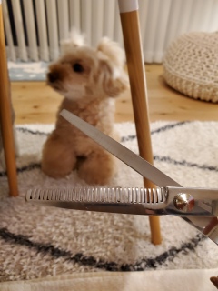 ���܂���B