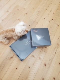 �t���C�p��