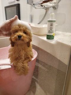 ���Ƃ�����