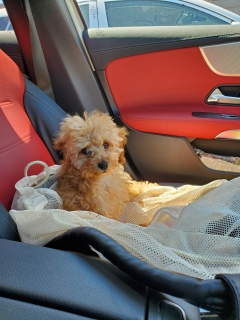 �� �����a�@