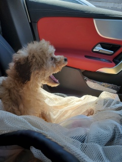 ���N�`���I���