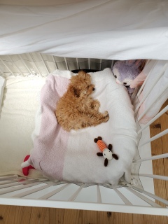 ����͂����Q�܂�