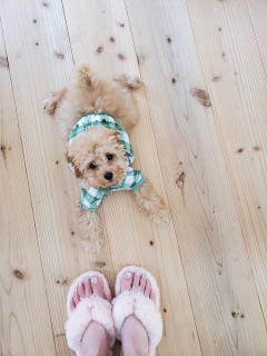 ���Ƃ������