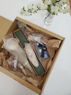 Stayhome �L�b�h