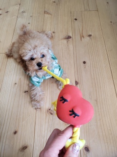 �݂�Ȃł܂�����