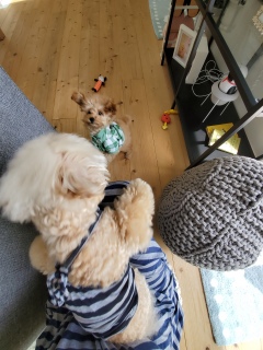 ����Ⴛ�[�����