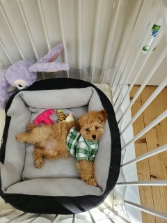 ���Ƃ�����ƃP�[�W