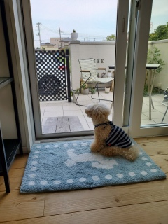 �A��R�[��