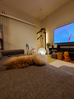 ���₷�݂Ȃ���