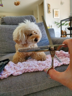 �}�}�~���O