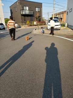 ���U����