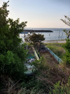 �[���̂��U��