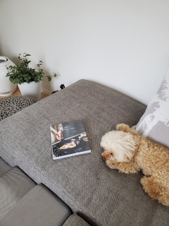 �����̎�