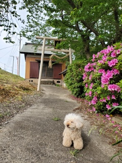 ���U����