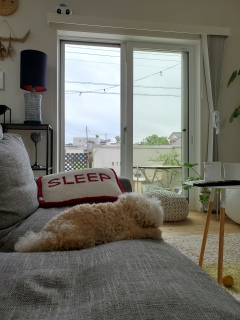 �ł��A�A�A