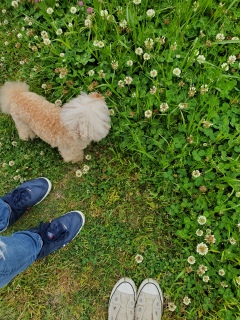 ���U����