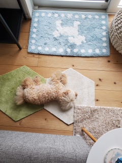 ������6���ɋN����