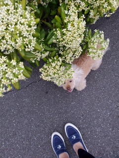 ���Ė����́B