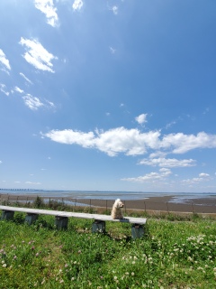 �R�C�������h���[�҂�