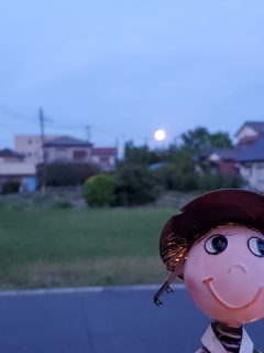 �t�����[���[��