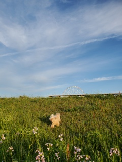 �����̈��