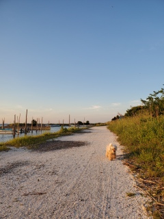 ����݂����B