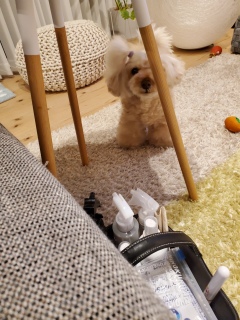 �Ɛ��v�̃~�^�]�m��