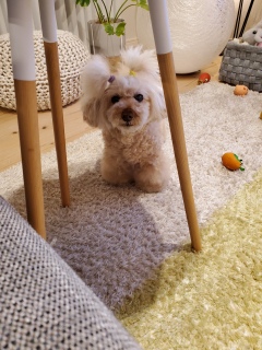 ������������B