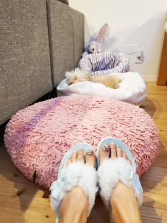 ������