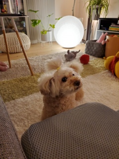 ���₷�݂Ȃ���