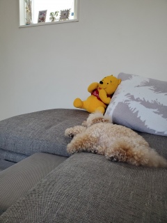 ���R���RGIRL