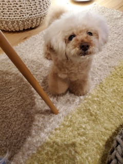 �P����Time