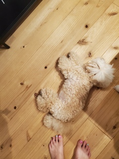 ���������}��