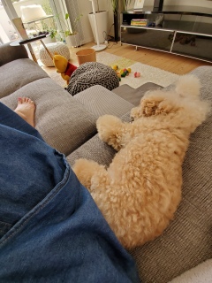 �K�������ǁA