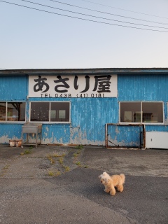 ���₷�݂Ȃ����`