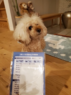 �L�^�[�[�[�[�[