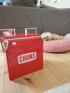 CHUMS