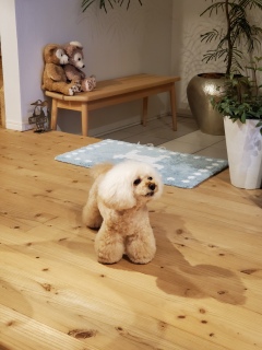 �N������[