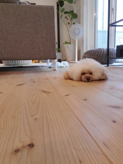 �����[